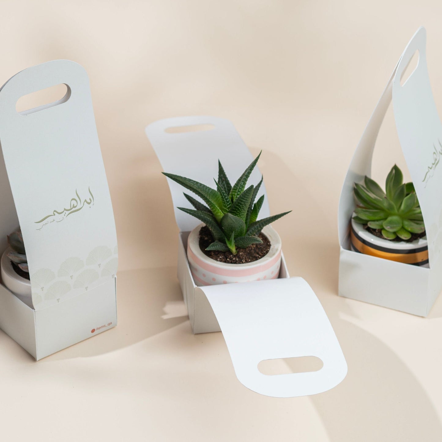 10 pcs- plants giveaways